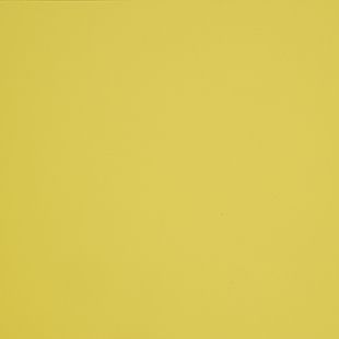 Tampa Bay Rays Yellow