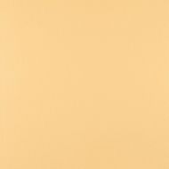 San Francisco Giants Beige