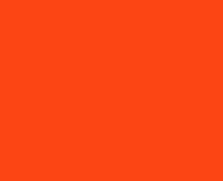 Detroit Tigers Orange
