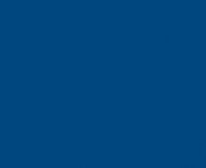 Detroit Lions Blue NFL