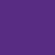 Minnesota Vikings Purple NFL