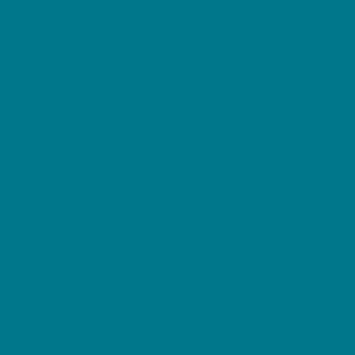 Charlotte Hornets Teal NBA
