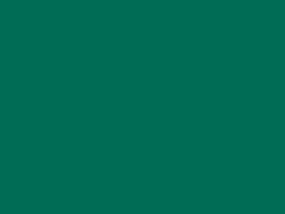 Florida Gulf Coast Eagles Green