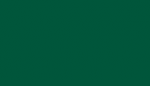 North DakotaState Bison Green