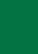 Dallas Mavericks Green Old NBA