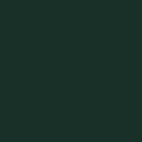 Green Bay Packers Green NFL