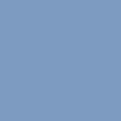 Memphis Grizzlies Blue New NBA