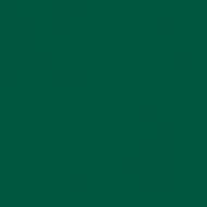 New York Jets Green NFL