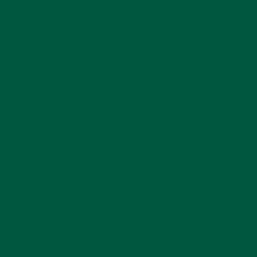 New York Jets Green NFL