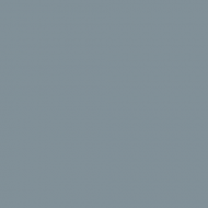 Philadelphia Eagles Green Silver NFL