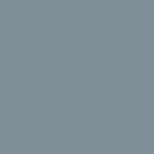 Philadelphia Eagles Green Silver NFL