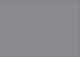 Charlotte Hornets Gray NBA
