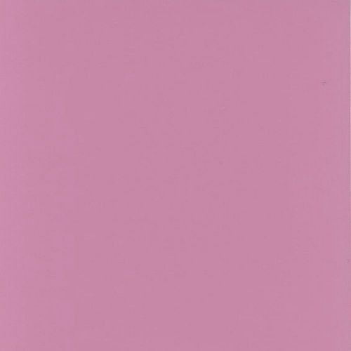 1950's Retro Corral Pink
